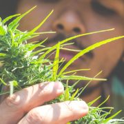 is weed legal in Missouri