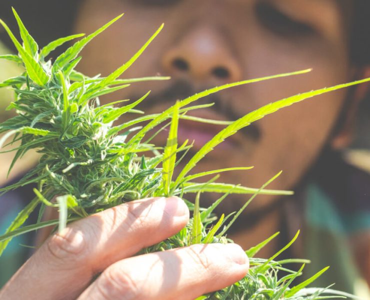 is weed legal in Missouri