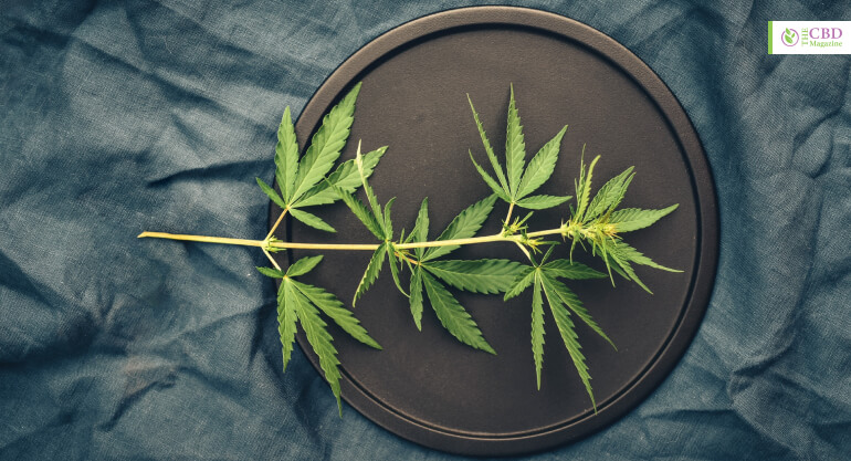 Benefits THC-O