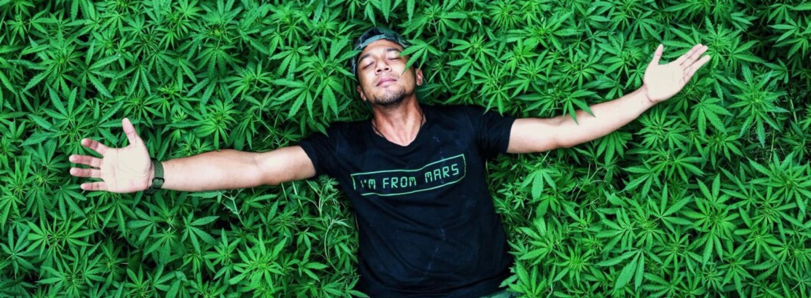 Had high vs body high