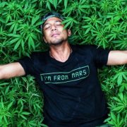 Had high vs body high