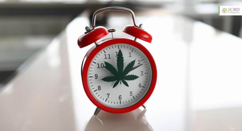 How Long Does THC-O Last In Your System