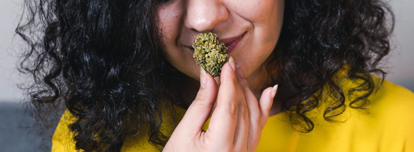 How To Get Rid Of Weed Smell