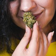 How To Get Rid Of Weed Smell