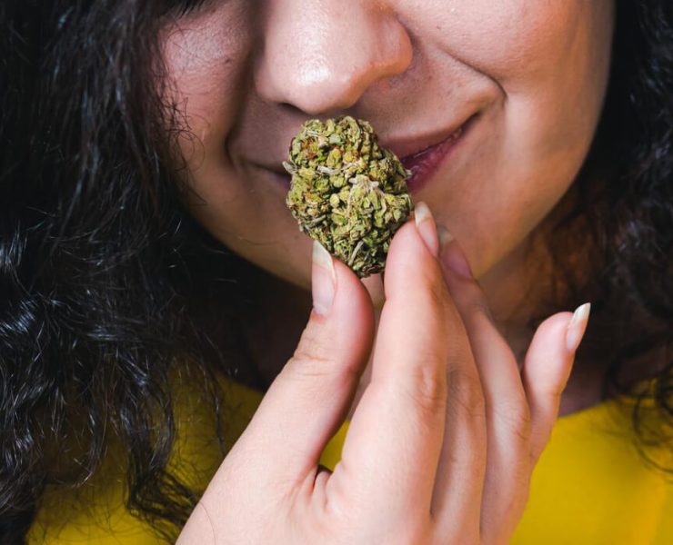 How To Get Rid Of Weed Smell