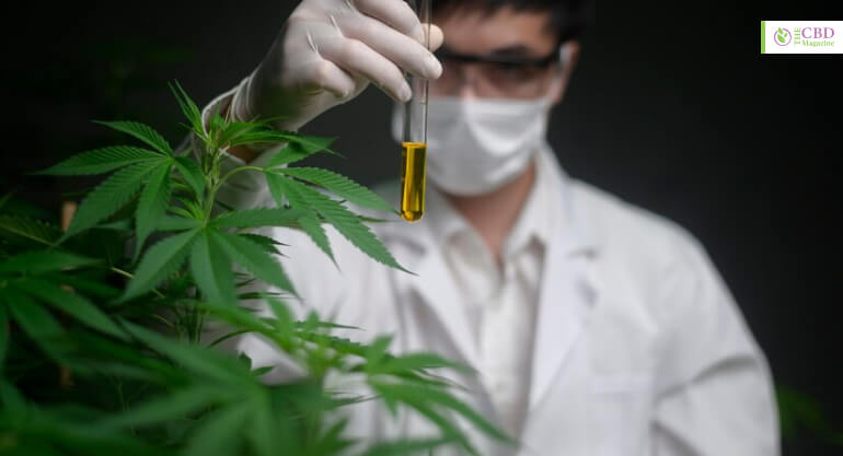 Side-Effects Of THC-O