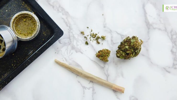 An Unforgettable Journey With Inheal THCA Products