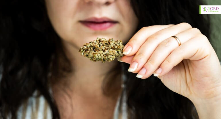 What Is THC-O