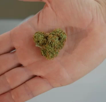 What Is THCa Flower and Why Is It Becoming Popular Among Youngsters