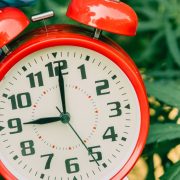 how long does thc-o last