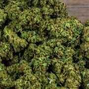 rainbow sherbet strain