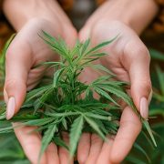 cannabis magnesium deficiency