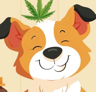 how long does CBD stay in dogs system