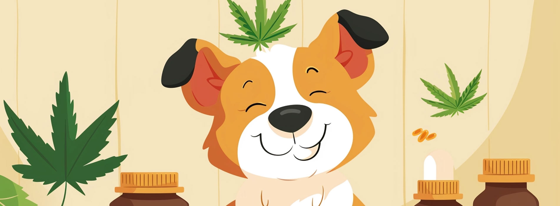 Question Of The Hour How Long Does CBD Stay In Dogs System