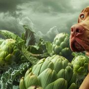 is eucalyptus safe for dogs