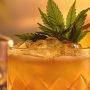 liquid marijuana drink