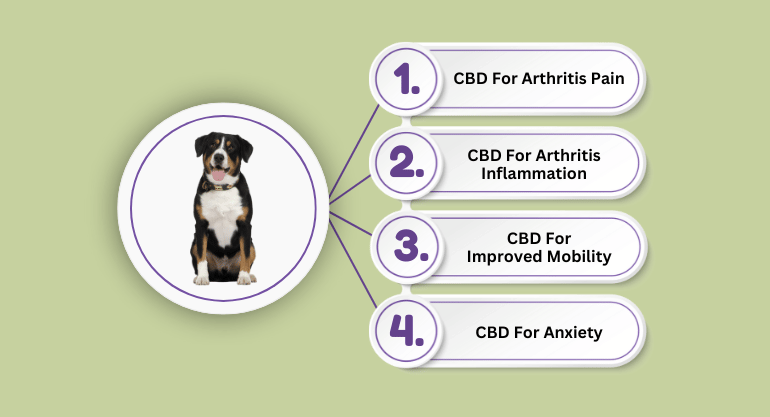 Benefits Of CBD For Dogs With Joint Pain