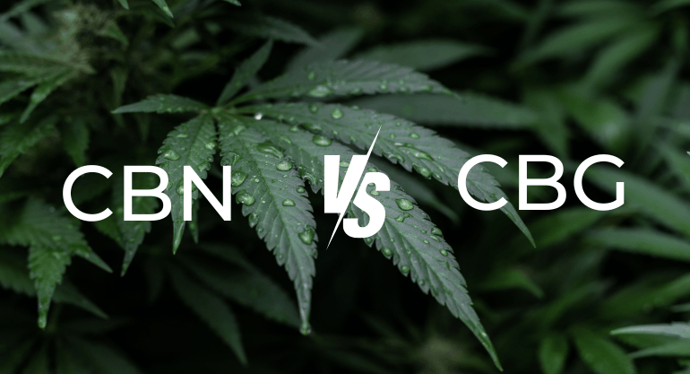 CBN Vs CBG_ Key Differences