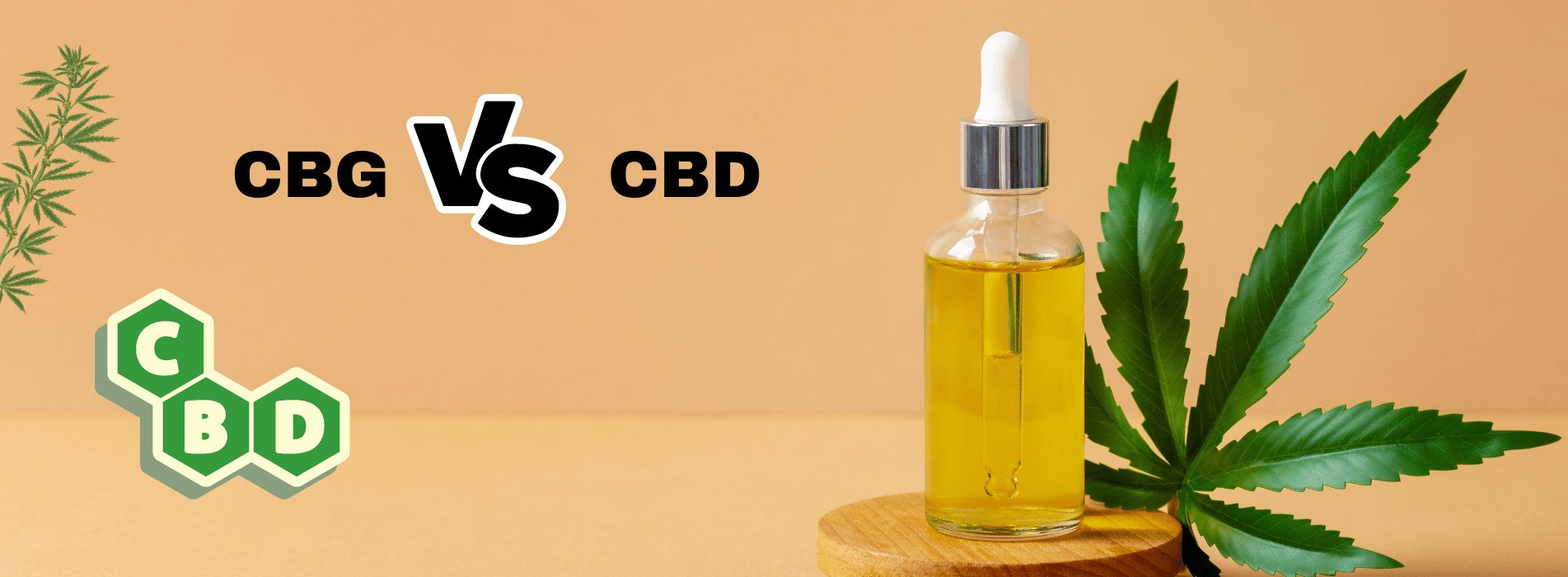 CBG Vs CBD: What Are The Differences?