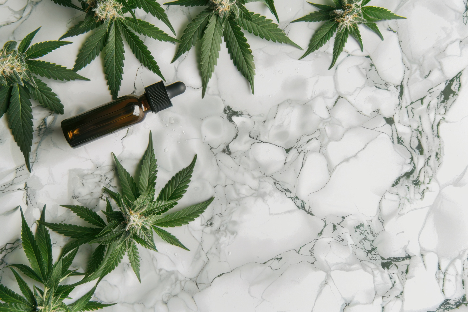 Best Times To Visit A Dispensary